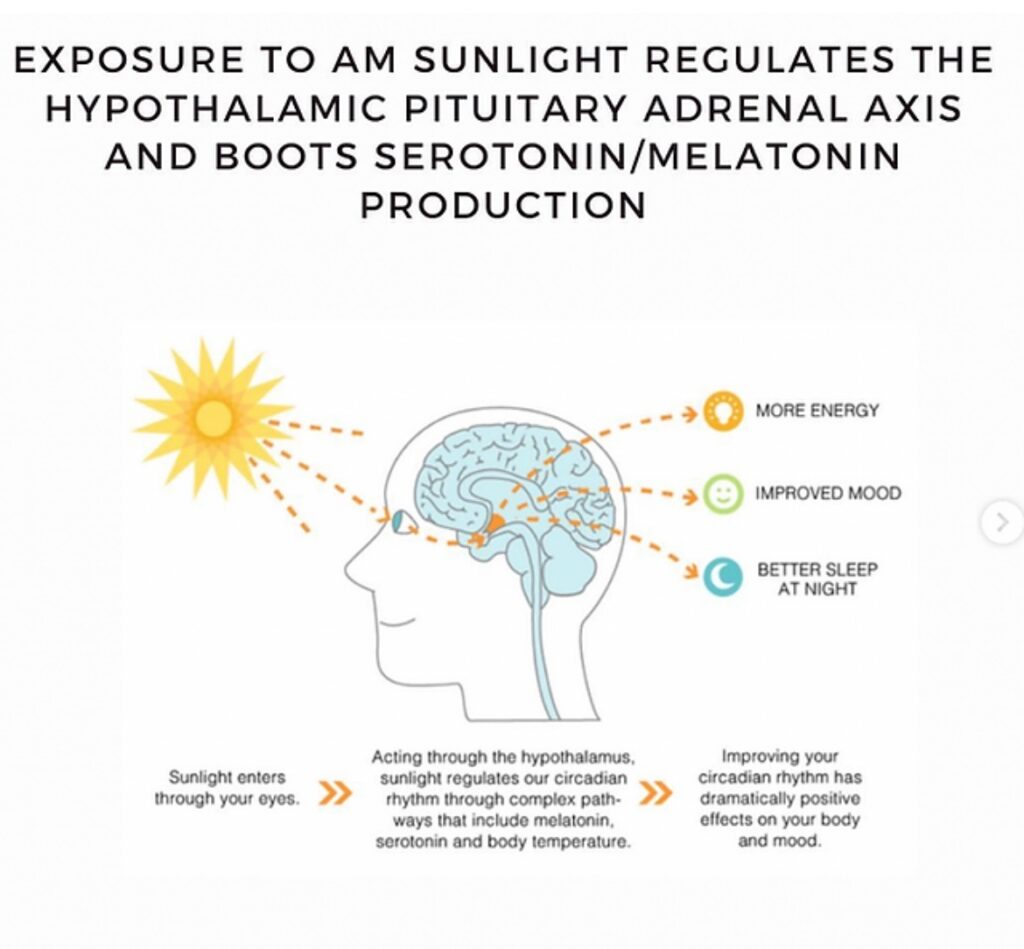 The science to exposure to sunlight first thing in the day